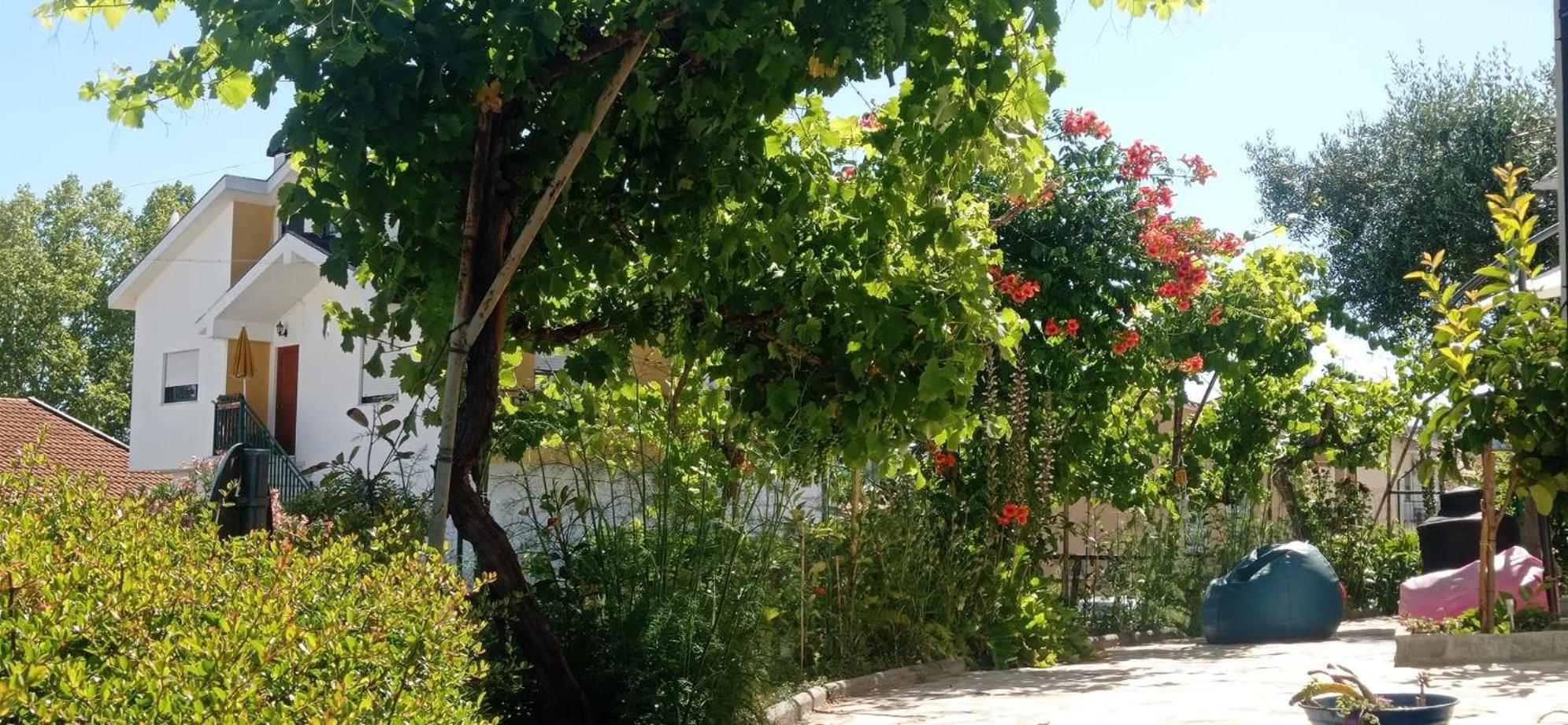 Alojamento Local Os Maias Мирандела Экстерьер фото
