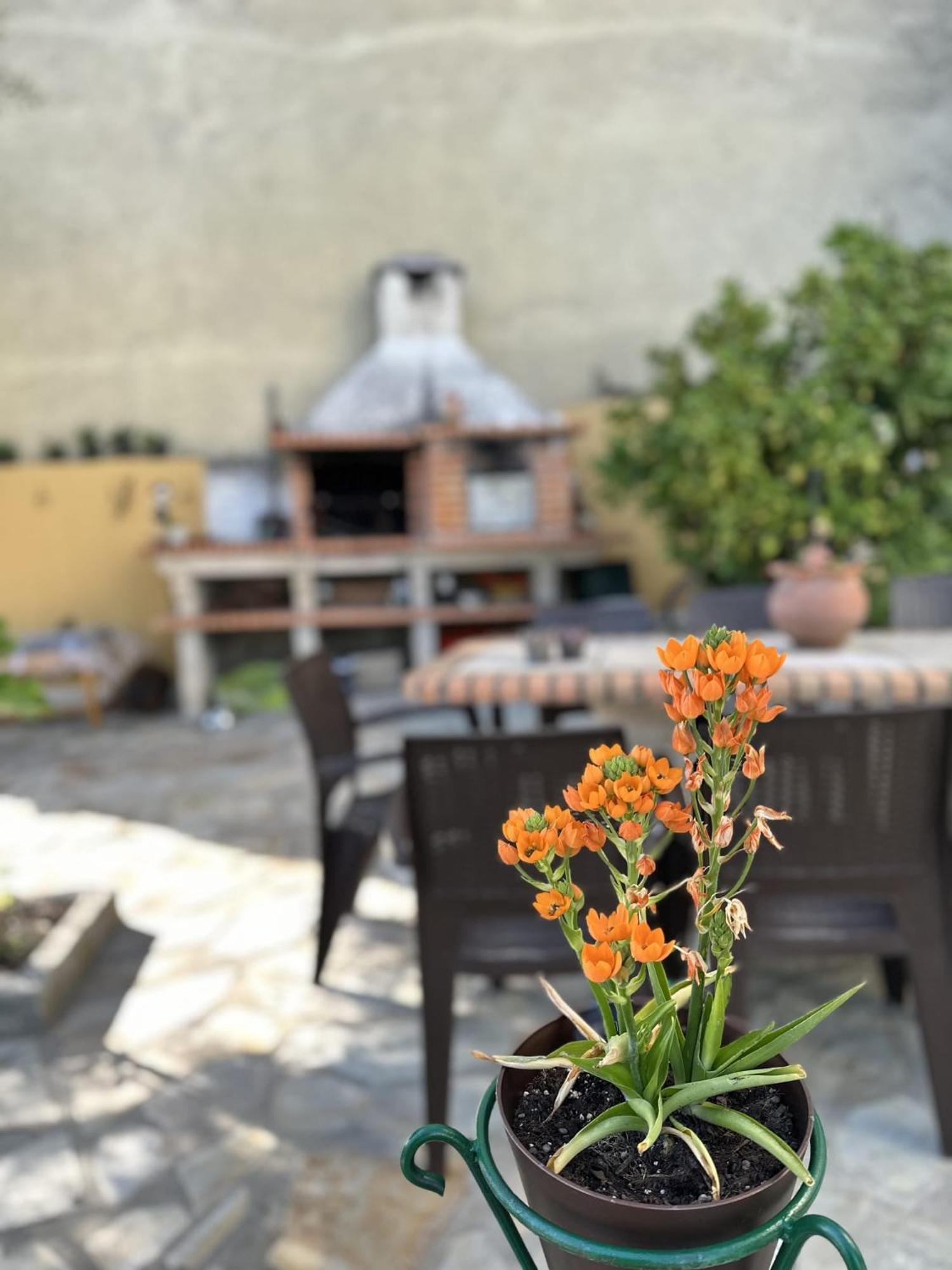 Alojamento Local Os Maias Мирандела Экстерьер фото
